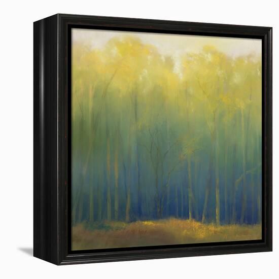 Deep Woods in Summer-Teri Jonas-Framed Premier Image Canvas