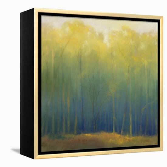 Deep Woods in Summer-Teri Jonas-Framed Premier Image Canvas