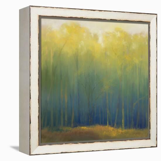 Deep Woods in Summer-Teri Jonas-Framed Premier Image Canvas