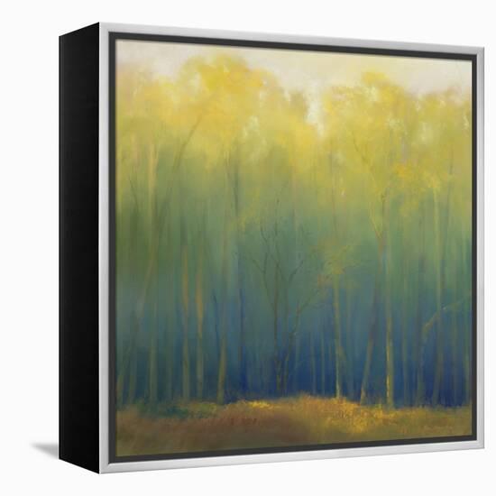 Deep Woods in Summer-Teri Jonas-Framed Premier Image Canvas