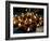 Deepak Lights (Oil and Cotton Wick Candles) Lit to Celebrate the Diwali Festival, India-Annie Owen-Framed Photographic Print