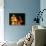 Deepawali Lamps-null-Photographic Print displayed on a wall