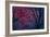 Deepest Doubts-Doug Chinnery-Framed Giclee Print