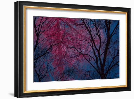 Deepest Doubts-Doug Chinnery-Framed Giclee Print