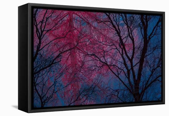 Deepest Doubts-Doug Chinnery-Framed Premier Image Canvas