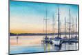 Premium Photographic Print