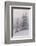 Deeply Snow-Covered Trees, Salzburg, Austria-Rainer Mirau-Framed Photographic Print