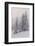 Deeply Snow-Covered Trees, Salzburg, Austria-Rainer Mirau-Framed Photographic Print