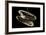 Deepsea Mussel (Bathymodiolus Indica) With Open Shell And Commensal Scale Worm Inside-David Shale-Framed Photographic Print