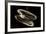 Deepsea Mussel (Bathymodiolus Indica) With Open Shell And Commensal Scale Worm Inside-David Shale-Framed Photographic Print