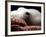 Deepsea Octopus (Benthoctopus Sp), Close-Up of Eye, Deep Sea Atlantic Ocean-David Shale-Framed Photographic Print