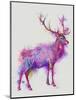 Deer 1 Rainbow Splash Purple Pink-Fab Funky-Mounted Art Print
