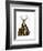 Deer and Chair Full-Fab Funky-Framed Art Print