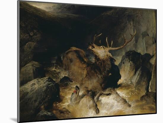 Deer and Deer Hounds in a Mountain Torrent ('The Hunted Stag')-Edwin Henry Landseer-Mounted Giclee Print
