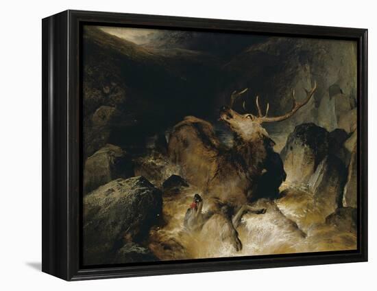 Deer and Deer Hounds in a Mountain Torrent ('The Hunted Stag')-Edwin Henry Landseer-Framed Premier Image Canvas