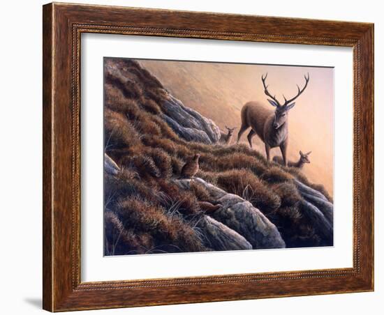 Deer and Grouse-Jeremy Paul-Framed Giclee Print