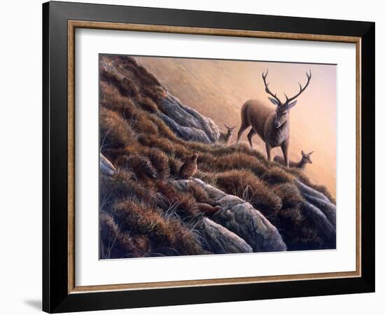 Deer and Grouse-Jeremy Paul-Framed Giclee Print