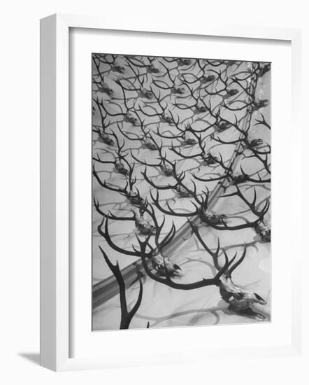 Deer Antlers Hanging in Domed Ceiling of Gordon Castle-William Sumits-Framed Photographic Print