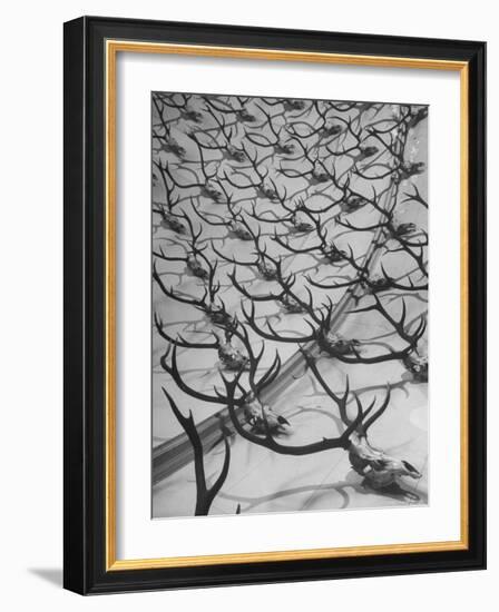 Deer Antlers Hanging in Domed Ceiling of Gordon Castle-William Sumits-Framed Photographic Print