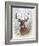 Deer Buck Portrait-Ron Jenkins-Framed Art Print