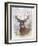 Deer Buck Portrait-Ron Jenkins-Framed Art Print