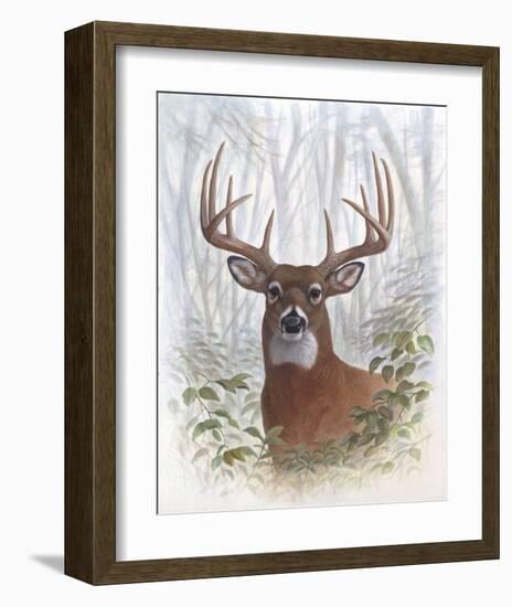 Deer Buck Portrait-Ron Jenkins-Framed Art Print