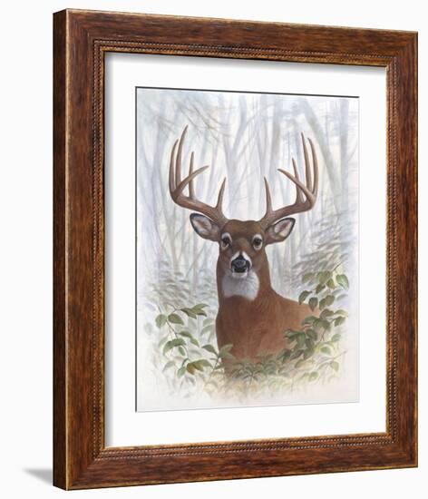 Deer Buck Portrait-Ron Jenkins-Framed Art Print