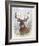 Deer Buck Portrait-Ron Jenkins-Framed Art Print