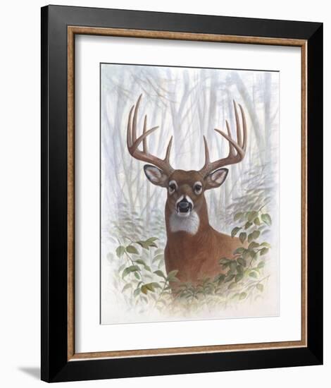 Deer Buck Portrait-Ron Jenkins-Framed Art Print