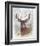 Deer Buck Portrait-Ron Jenkins-Framed Art Print