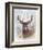 Deer Buck Portrait-Ron Jenkins-Framed Art Print