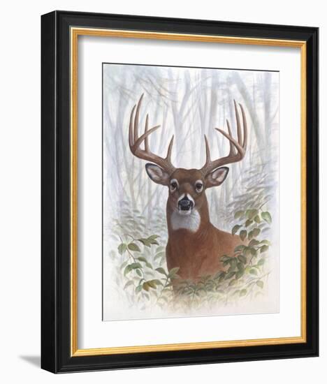 Deer Buck Portrait-Ron Jenkins-Framed Art Print