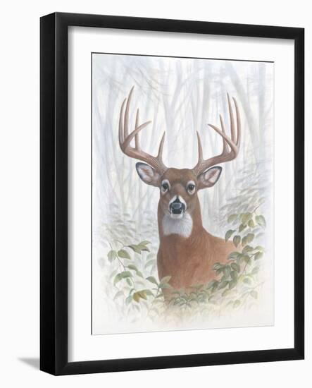 Deer Buck Portrait-Ron Jenkins-Framed Art Print