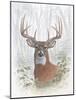 Deer Buck Portrait-Ron Jenkins-Mounted Art Print