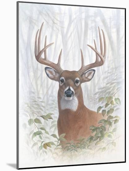 Deer Buck Portrait-Ron Jenkins-Mounted Art Print