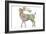 Deer Color-Miguel Balbás-Framed Giclee Print