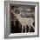 Deer Crossing-Piper Ballantyne-Framed Art Print