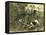 Deer Dog Hunt Austira 1891-null-Framed Premier Image Canvas