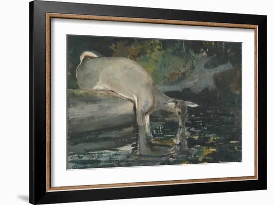 Deer Drinking, 1892-Winslow Homer-Framed Giclee Print