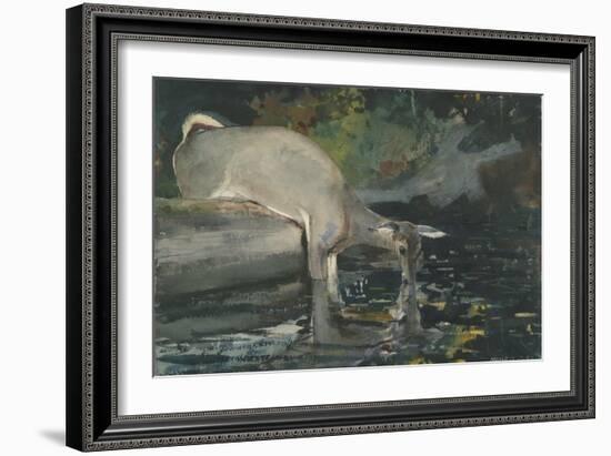 Deer Drinking, 1892-Winslow Homer-Framed Giclee Print