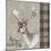 Deer Family II-Clara Wells-Mounted Giclee Print
