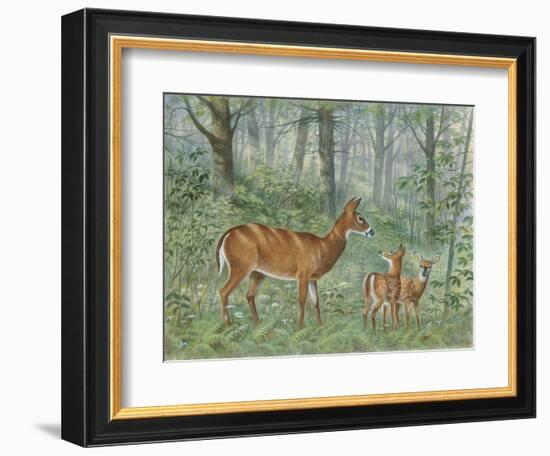 Deer Family II-Ron Jenkins-Framed Art Print