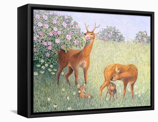 Deer Family-Pat Scott-Framed Premier Image Canvas