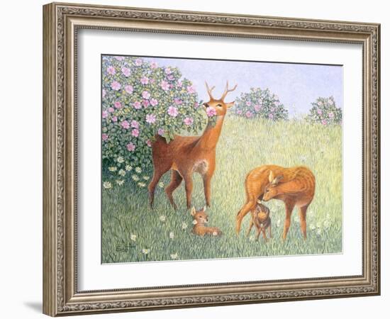 Deer Family-Pat Scott-Framed Giclee Print