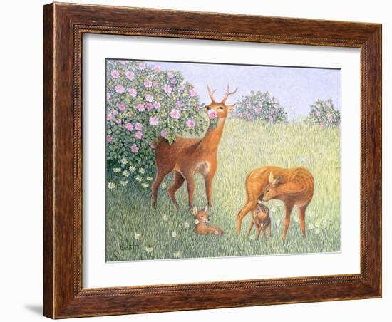 Deer Family-Pat Scott-Framed Giclee Print