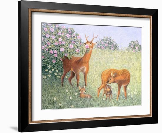 Deer Family-Pat Scott-Framed Giclee Print