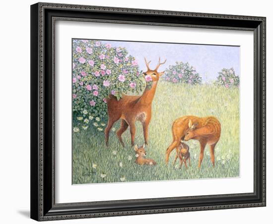 Deer Family-Pat Scott-Framed Giclee Print