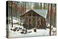 Stretched Canvas Print