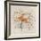 Deer II-Cheri Blum-Framed Art Print