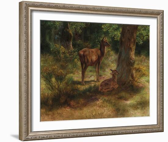 Deer in a Wood-Rosa Bonheur-Framed Giclee Print